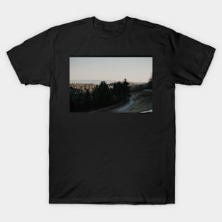 Moses Cone Manor View T-Shirt